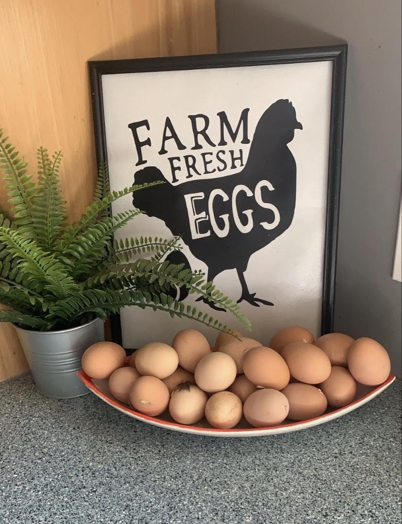 Kansas City Farm Fresh Eggs